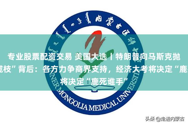 专业股票配资交易 美国大选丨特朗普向马斯克抛出“橄榄枝”背后：各方力争商界支持，经济大考将决定“鹿死谁手”