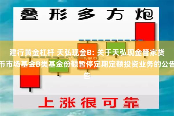 建行黄金杠杆 天弘现金B: 关于天弘现金管家货币市场基金B类基金份额暂停定期定额投资业务的公告