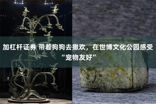 加杠杆证券 带着狗狗去撒欢，在世博文化公园感受“宠物友好”