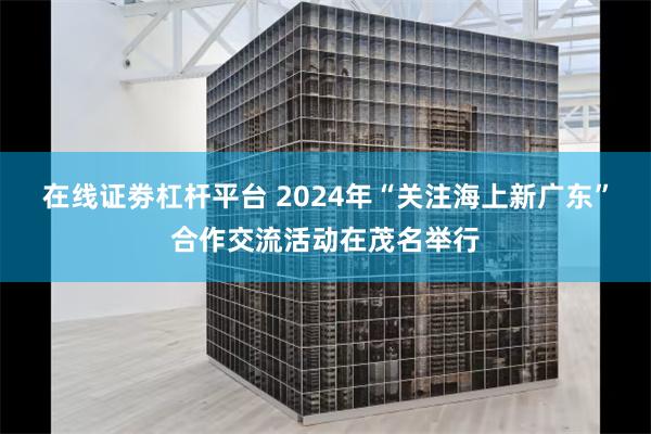 在线证劵杠杆平台 2024年“关注海上新广东”合作交流活动在茂名举行