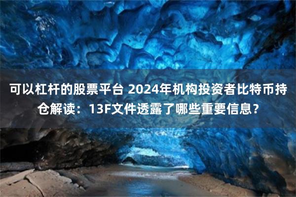 可以杠杆的股票平台 2024年机构投资者比特币持仓解读：13F文件透露了哪些重要信息？