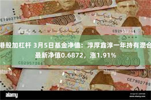 港股加杠杆 3月5日基金净值：淳厚鑫淳一年持有混合最新净值0.6872，涨1.91%